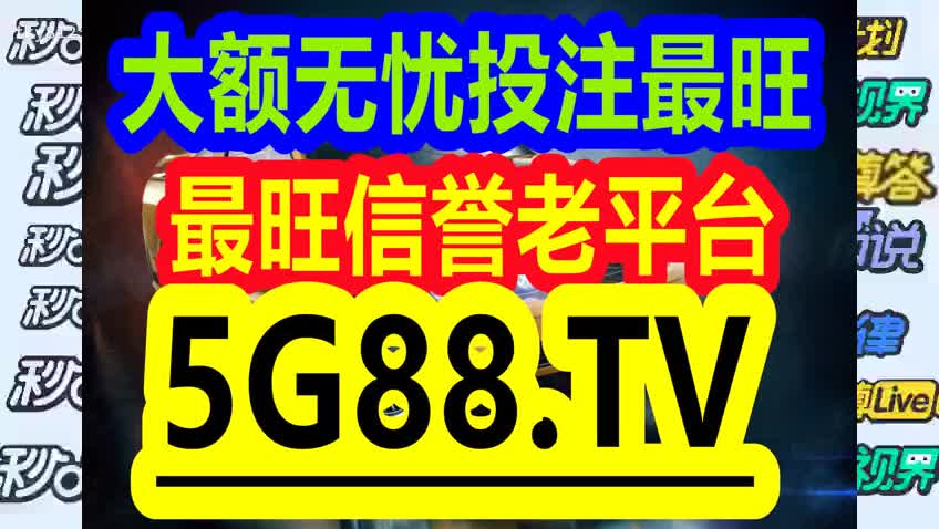 管家婆的一码一肖，揭秘背后的神秘与魅力