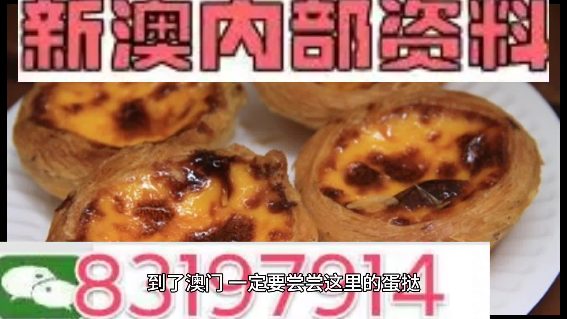 新澳门资料大全正版资料与奥利奥，探索与体验的乐趣