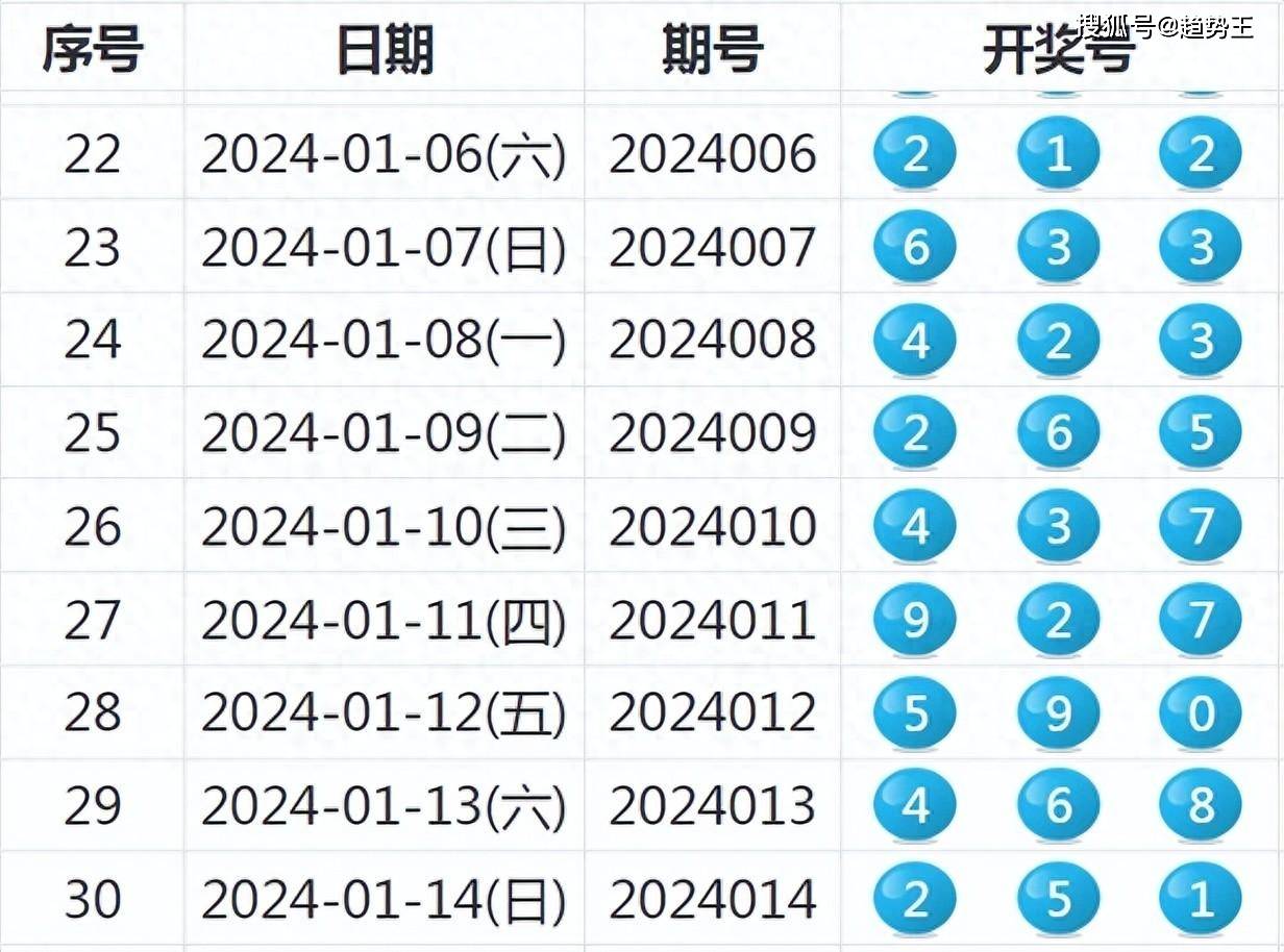 2024年新澳开奖记录,揭秘2024年新澳开奖记录，幸运背后的故事