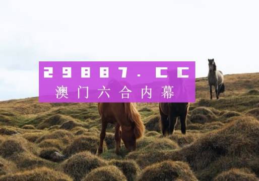 澳门开奖最快开奖记录,澳门开奖，探寻最快开奖记录的奥秘