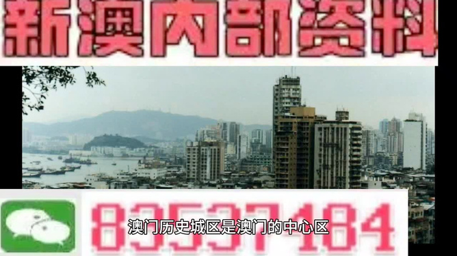 2024新澳精准资料免费提供,澳门内部,探索未知领域，澳门内部文化与未来展望——关于澳门内部资讯与资讯共享的探讨