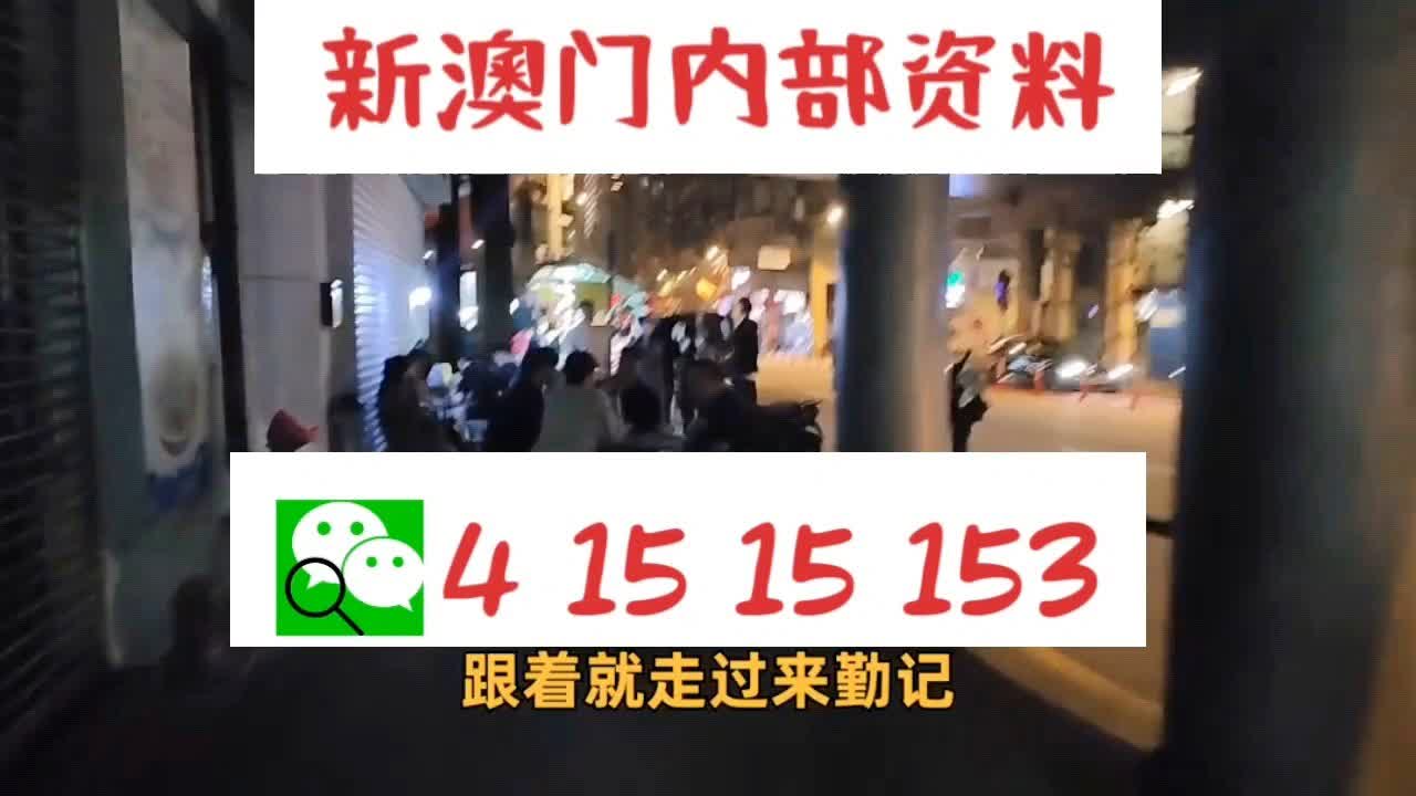 新澳门中特网中特马,新澳门中特网下的文化魅力与探索之旅