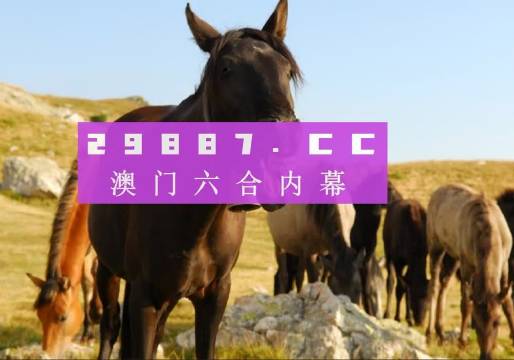 2023澳门管家婆资料正版大全,澳门管家婆资料正版大全——探索未知的奥秘之旅