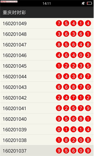 新澳门一肖中100%期期准,新澳门一肖的魅力与探索，文化、旅游与社区活力