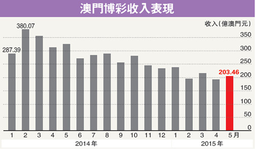 澳门六今晚开什么特马,澳门六今晚开什么特马，探索一个文化现象背后的故事