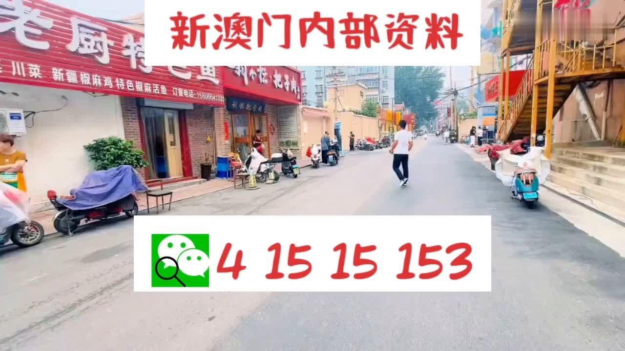 新澳门资料免费长期公开,2024,新澳门，一个充满活力和魅力的未来展望