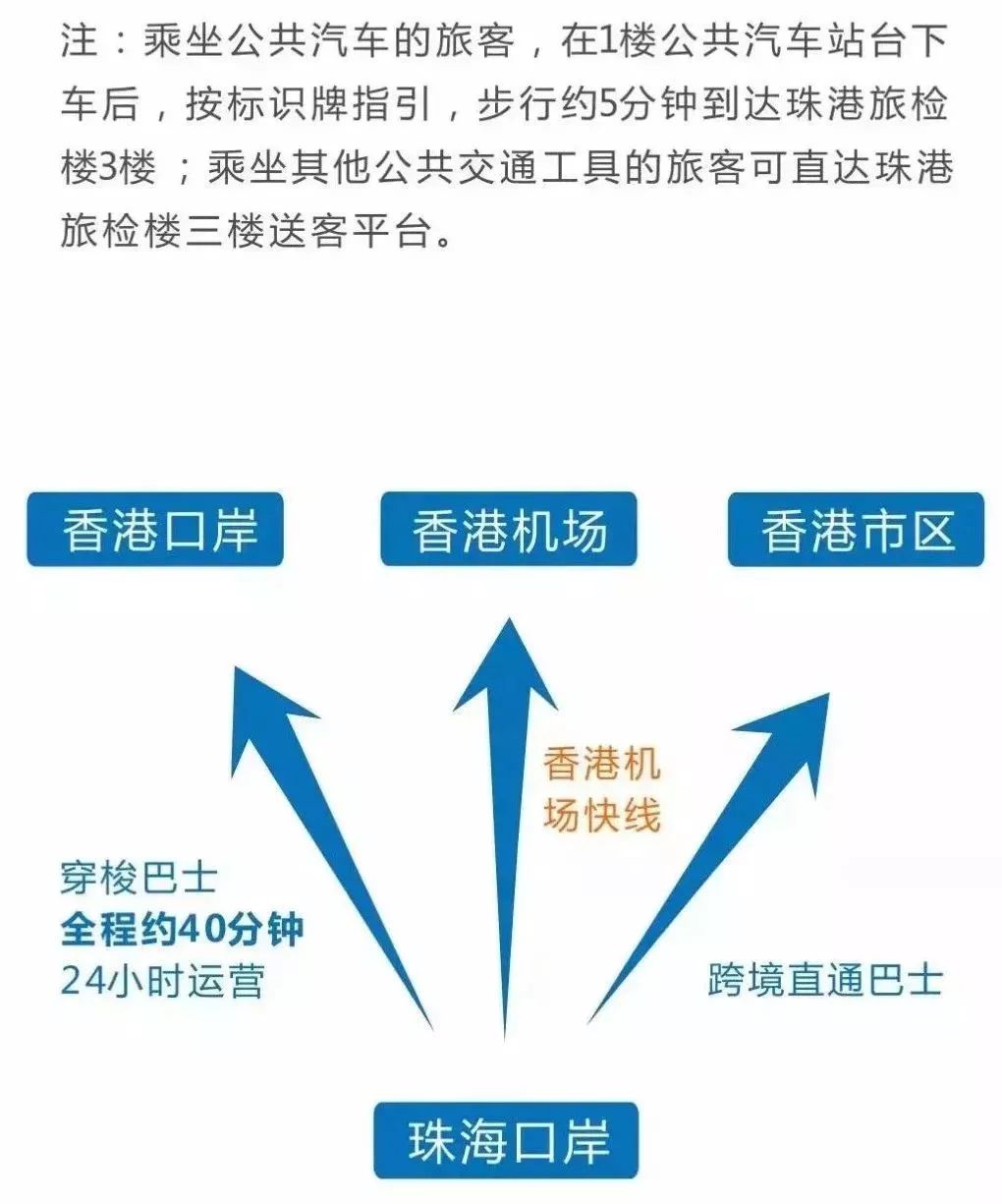 澳门4949最快开奖结果,澳门4949彩票，探索开奖的神秘之旅与期待的心情