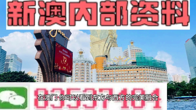 新澳2024年最新版,新澳2024年最新版，未来的美好展望与想象之旅