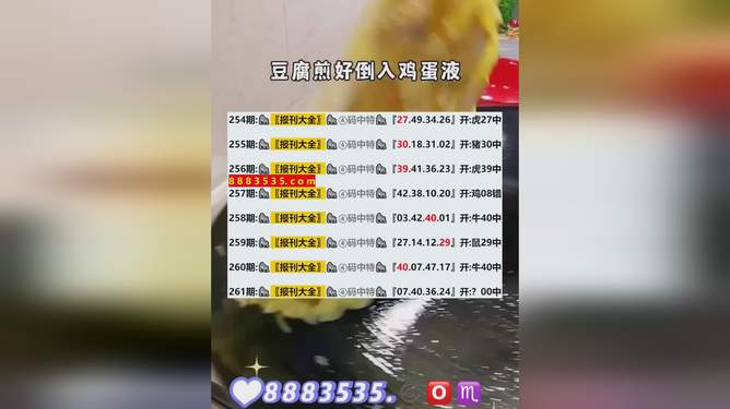 新澳今晚开奖结果查询,新澳今晚开奖结果查询——期待与惊喜的交汇之夜