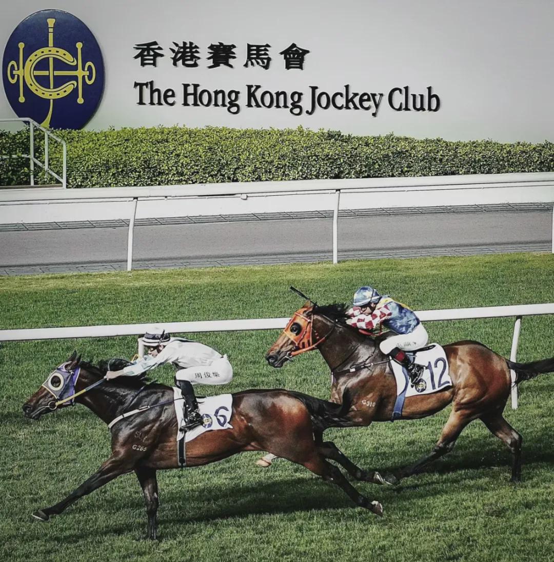 2024香港今期开奖号码马会,探索未知，香港马会彩票的奥秘与期待