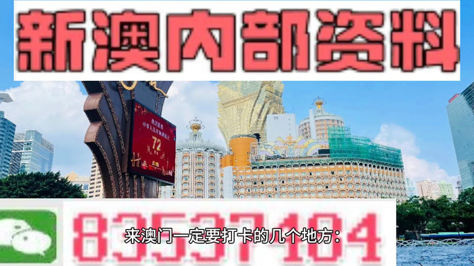 澳门天天免费精准大全，探索一个文化之旅的无限魅力