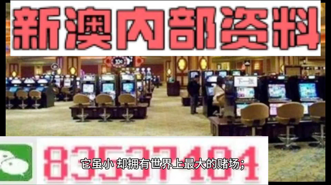 新澳2024正版资料免费公开，探索未知领域的启示