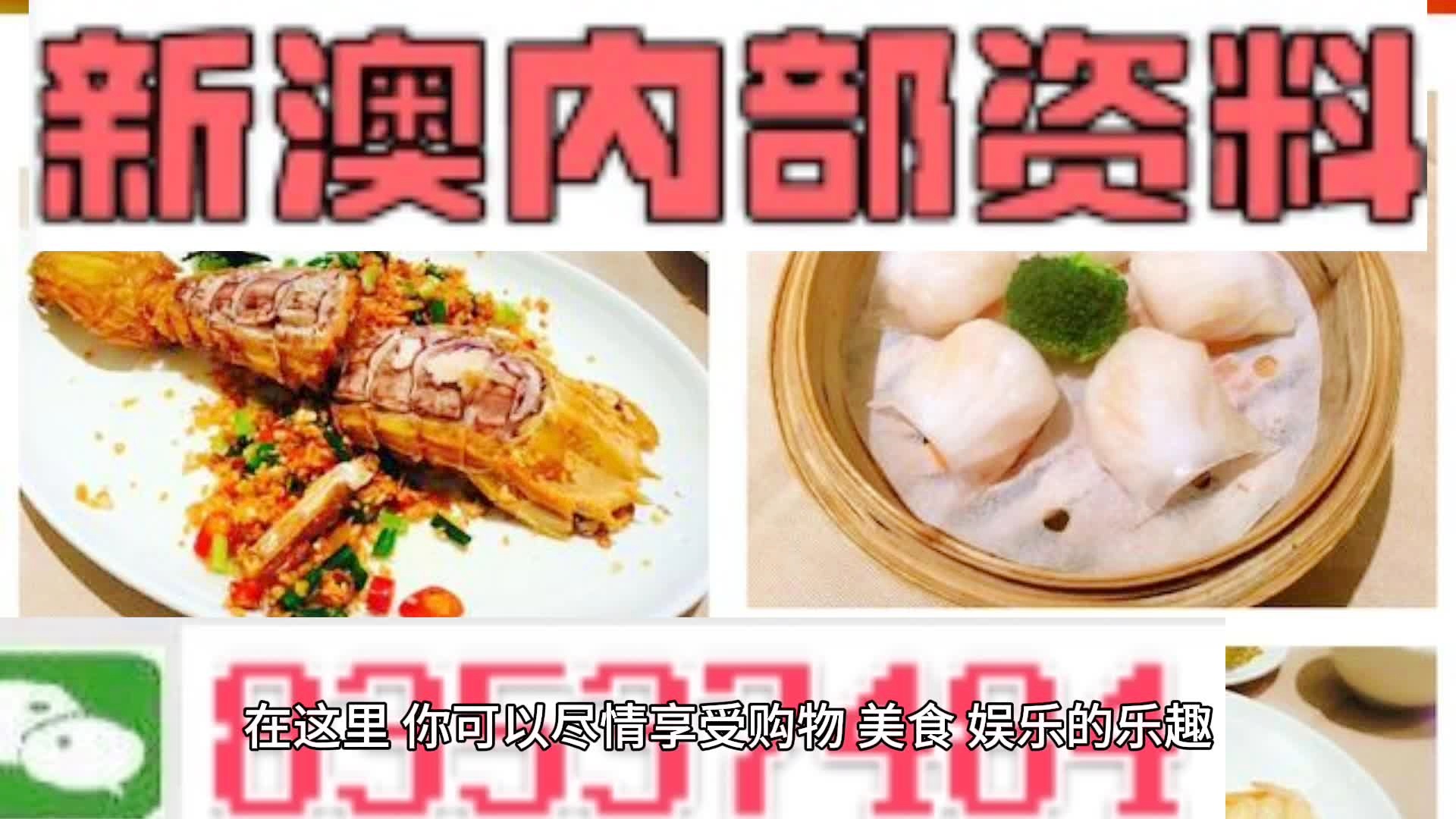 新澳精准资料大全，探索未知领域的指南